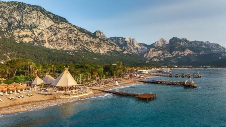 sns-venue-balmy-foresta